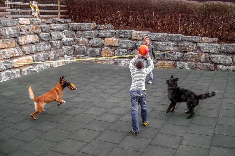 Spiel und Sport mit Hunden, ob in der Familie, bei Agility oder Dog Dancing, geht am besten auf einem griffigen und wetterfesten Hunde-Bodenbelag von WARCO.