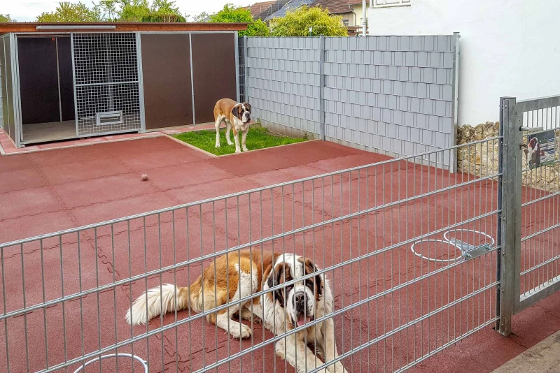 Le spaziose cucce per cani San Bernardo sono completati da un'ampia area di uscita con i tappeti da risposo per cani  in granulato di gomma.