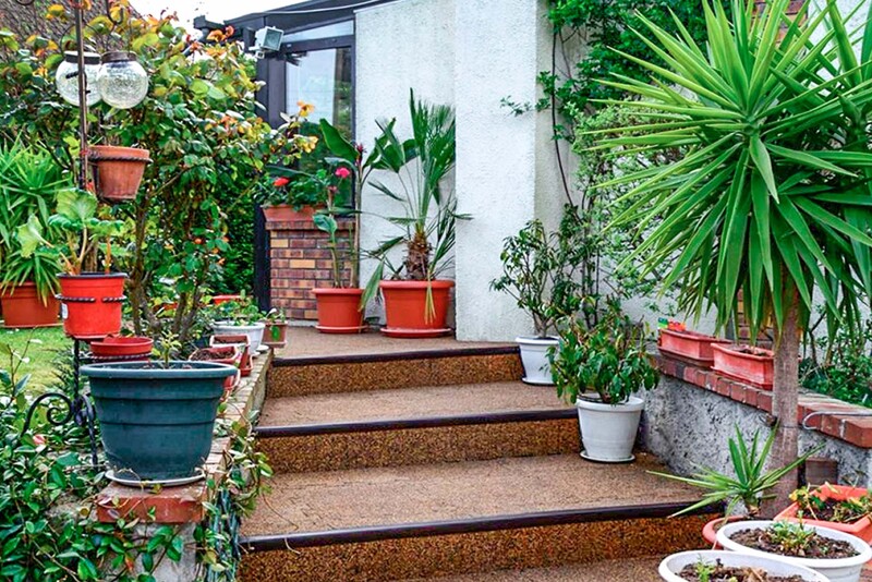 Ein mit WARCO-Treppenbelag im Farbdesign Rattan Lounge freundlich gestalteter Treppenaufgang im Garten ist durch üppig blühende Kübelpflanzen eingefasst.