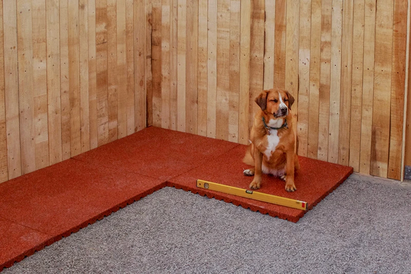 I tappeti isolanti per cani WARCO sono molto facili da posare, sia all'interno che all'esterno. L'ampio box con i tappeti rossi da canile WARCO è in fase di installazione.