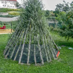 Auf einer Wiese steht ein Spieltipi aus Weidenstämmen. Die Weidenstämme, die die Wände des Spieltipis bilden, sind vor kurzem ausgeschlagen und beginnen zu wachsen. Der Boden des Spieltipis ist mit grünen Fallschutzplatten ausgelegt.