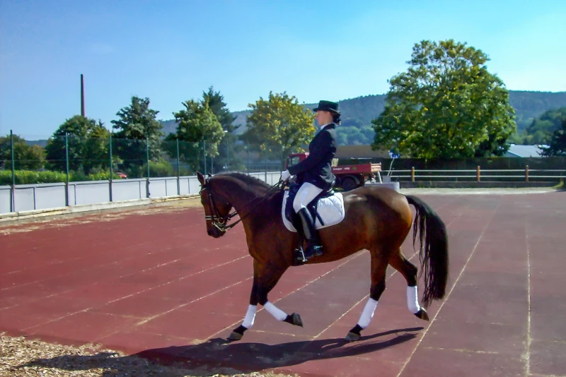 Una cavallerizza allena il suo cavallo in dressage in un'arena di dressage di cavalli all'aperto dotata di tappeti per paddock WARCO.