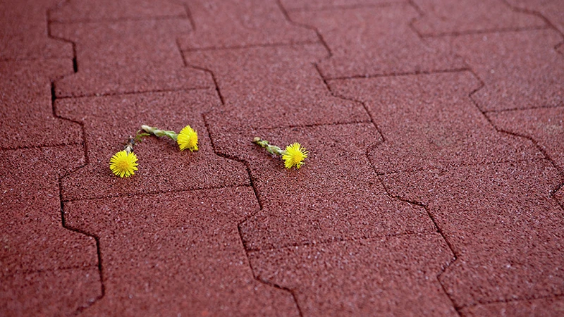 La foto mostra un primo piano della pavimentazione in gomma rossa a forma di doppia T. Due piccoli fiori gialli sono adagiati sulla superficie, mettendo in risalto la struttura e il colore del materiale. La superficie elastica in granuli di gomma legati con PU è finemente porosa, drenante e quasi priva di giunti. L’immagine evidenzia il carattere naturale e la qualità dei dettagli del materiale.