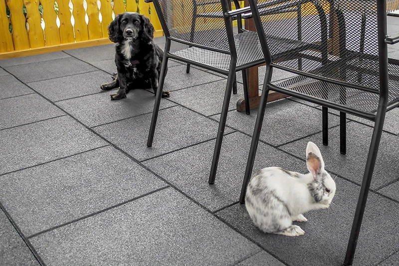 Un lapin blanc et un chien noir s'amusent en toute tranquillité sur une terrasse recouverte d'un revêtement de sol WARCO, résistant aux intempéries et isolant du froid.
