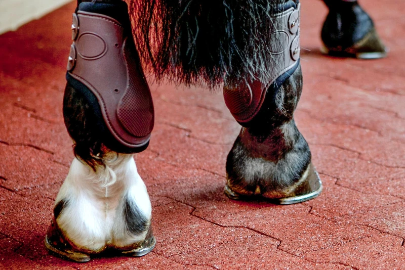 Gli zoccoli a ferro di cavallo sulle mattonelle autobloccanti a doppia T in colore rosso installate sulla giostra per i cavalli.
